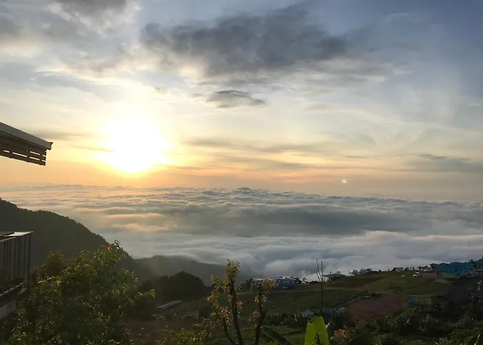 วิมานหมอก ภูทับเบิก